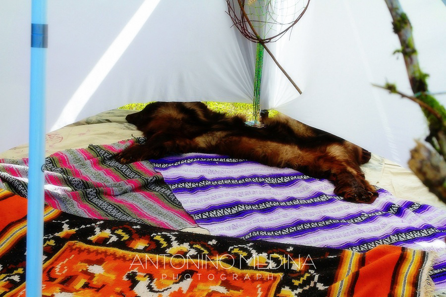 ECLIPSE SUMMER ELECTRONIC MUSIC FESTIVAL 2012: A NEW BEGINNING