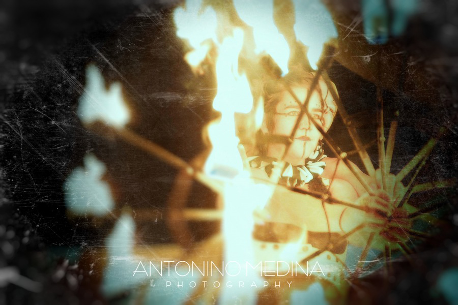 Psybass the 13th, V.12