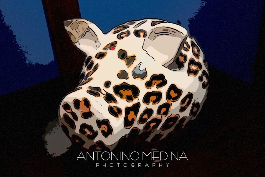 PartyGirl's B-day Part 8