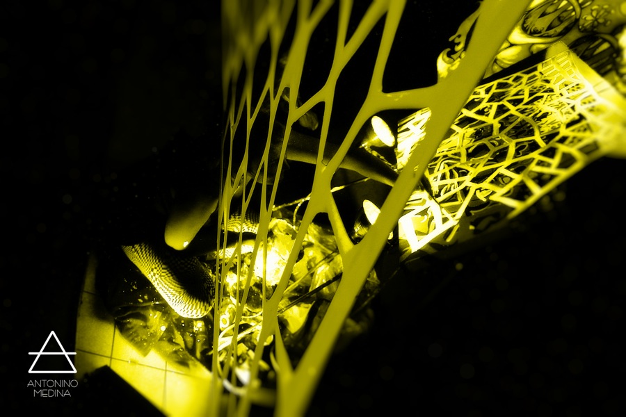 NO NAME Hosted by Filth Union