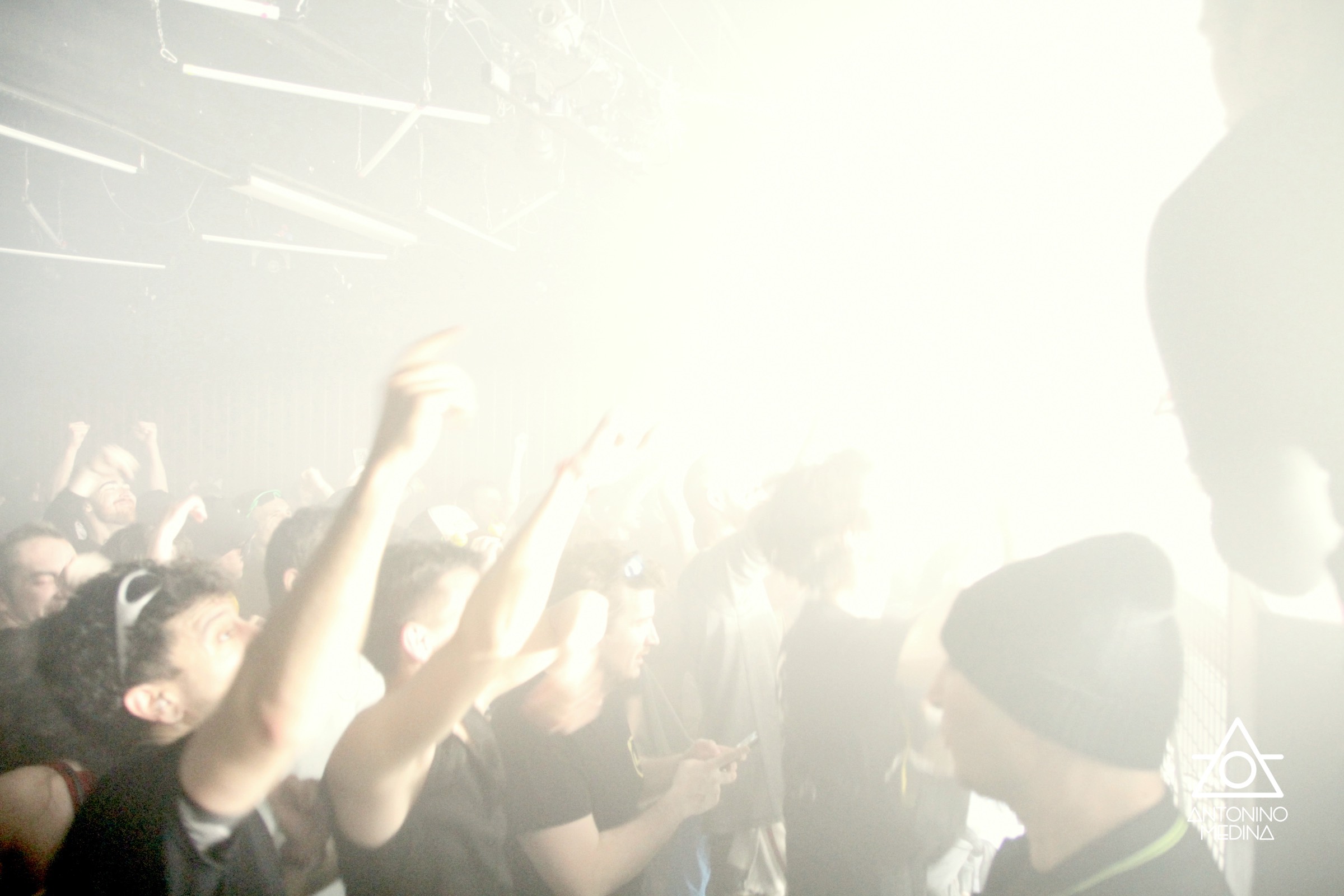 Hysta | Welcome to Wolf City