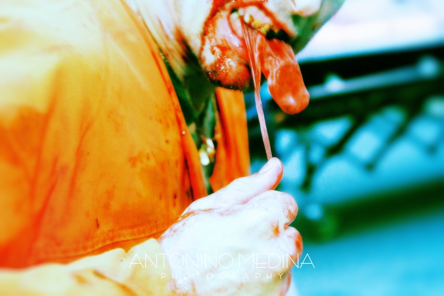 Marche des Zombies de Montréal